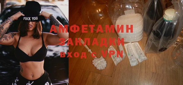 шишки Абаза