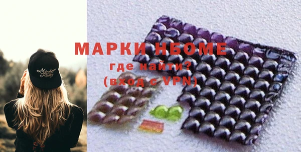 шишки Абаза
