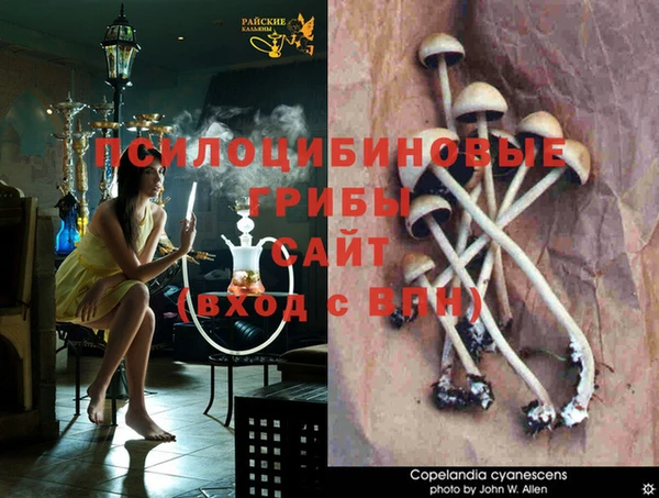 кристаллы Абинск