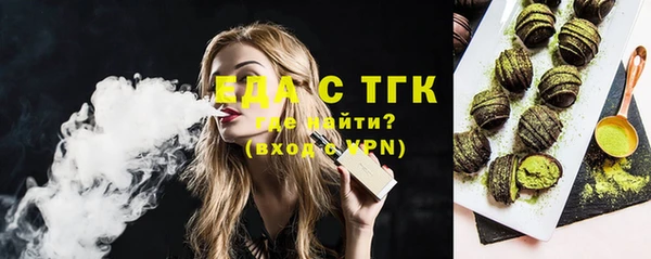 шишки Абаза