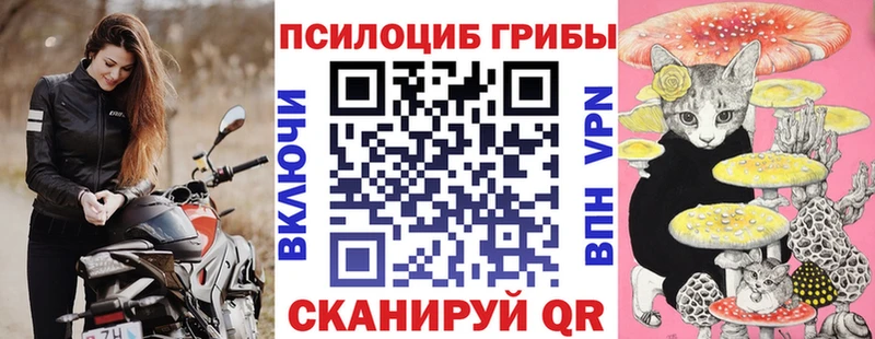 Галлюциногенные грибы Psilocybine cubensis  Моздок 