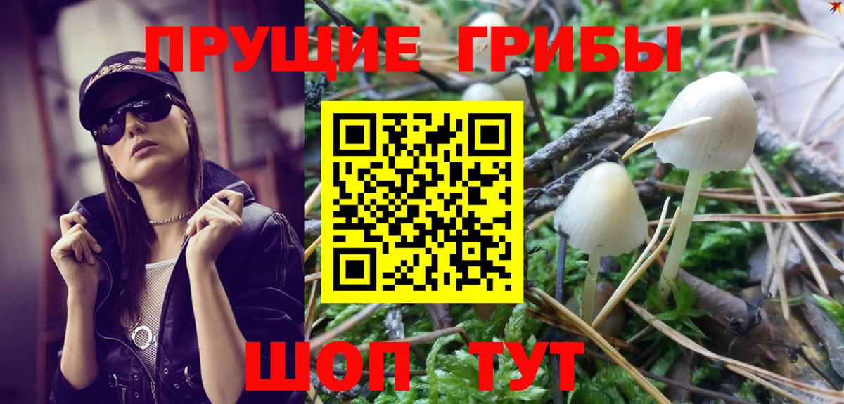 Галлюциногенные грибы Psilocybe  как найти наркотики  Моздок  Вход с VPN  Галлюциногенные грибы MAGIC MUSHROOMS 